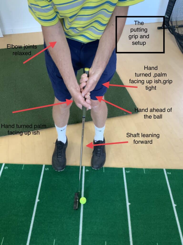 The putting grip (40)